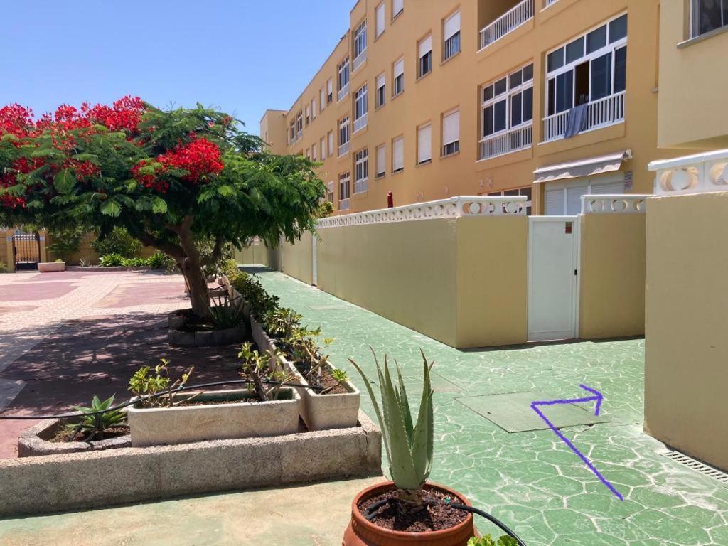 Anka Talo Apartment El Médano Екстериор снимка
